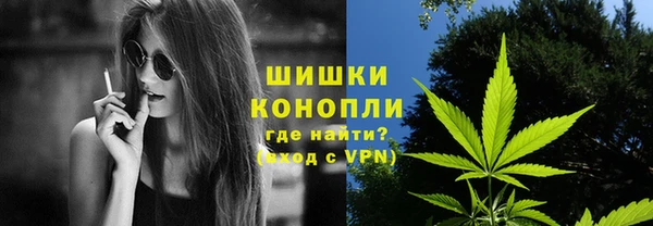 стафф Козельск