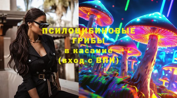 сатива Костерёво