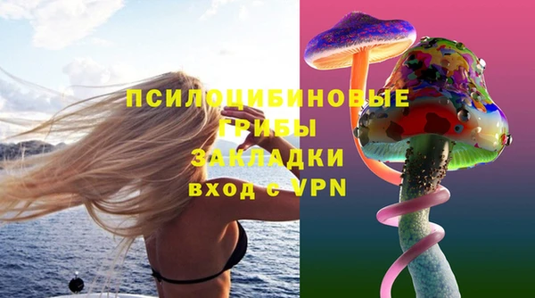 сатива Костерёво