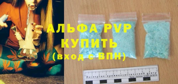 сатива Костерёво